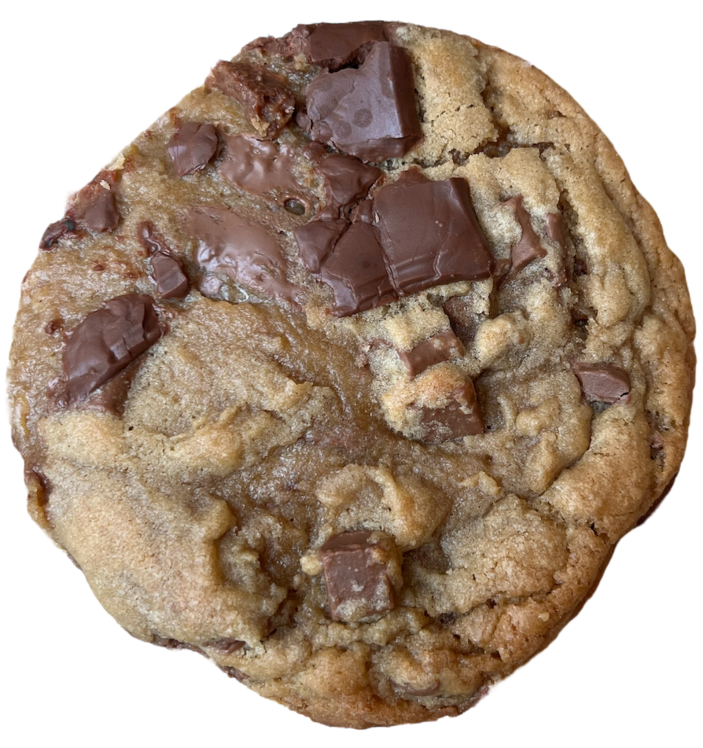 Chocolate Chip